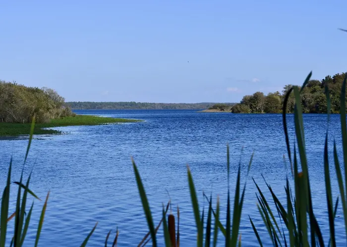 Holiday Home Douchamia By Interhome 別荘 Mimizan-Plage